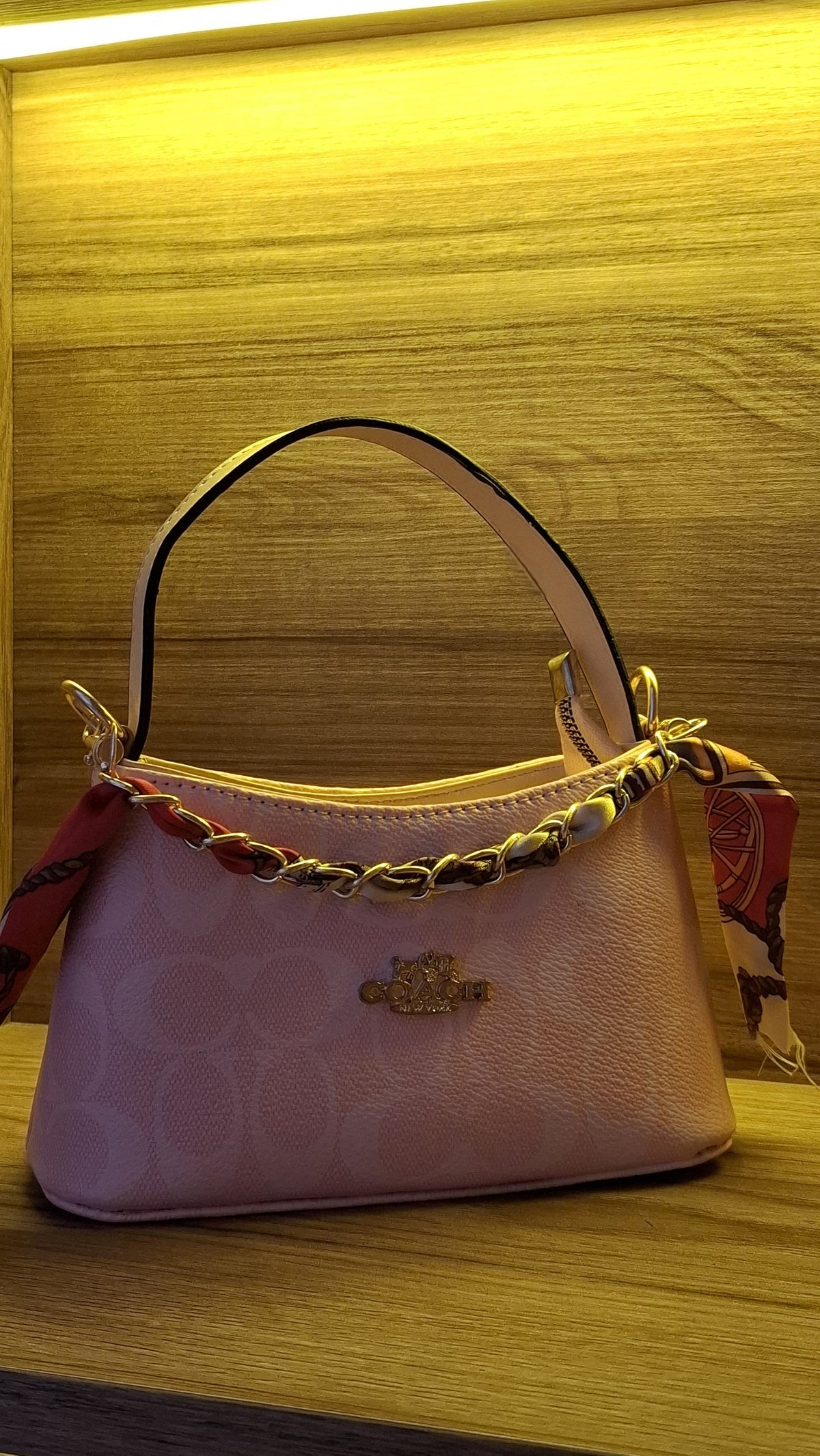 Mini bags coach