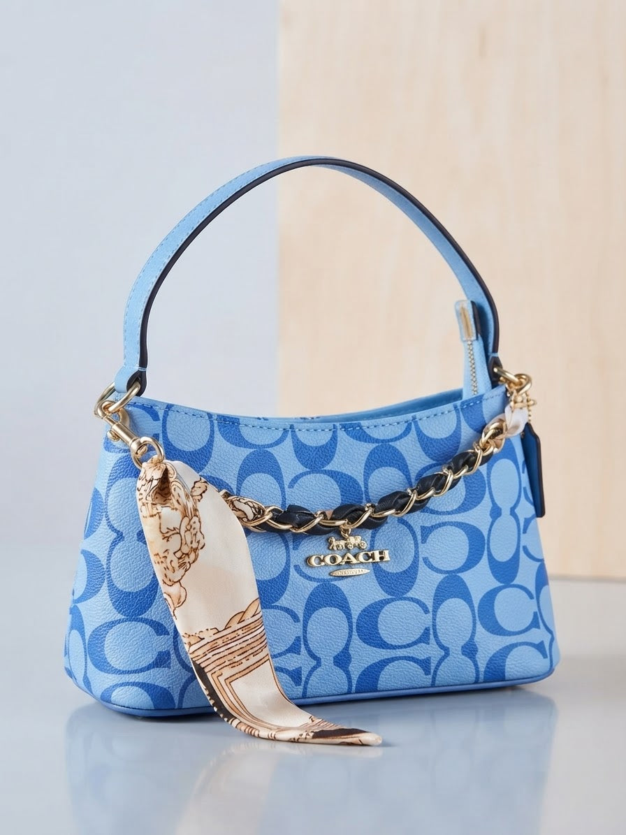 Mini bags coach